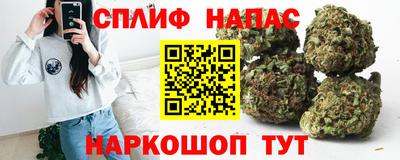 винт Будённовск