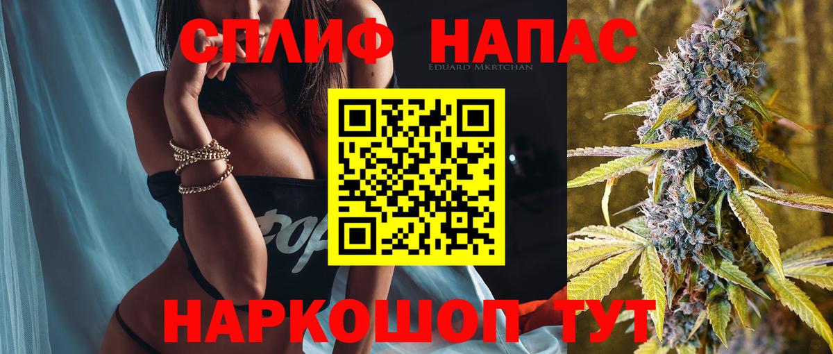 A PVP Пугачёв